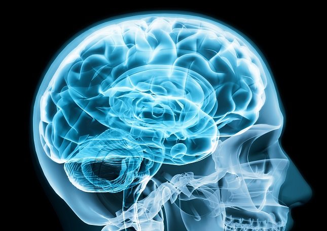  La capacidad de mantener una resolución es una función de la salud del cerebro
