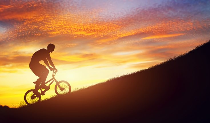 Según esta teoría, todas nuestras conductas tienen una motivación asentada en nuestros instintos