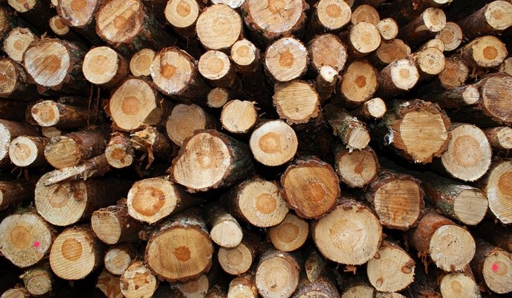 No existe un tratamiento específico para luchar contra ella