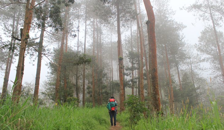 Uno de los pasos a seguir es no aislar a la persona