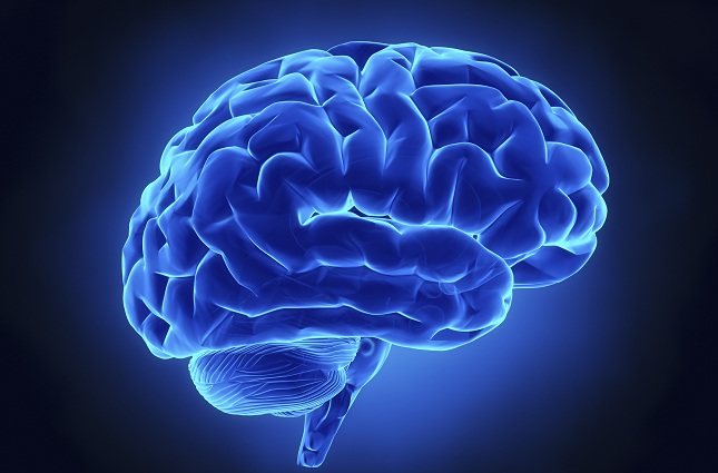 El cerebro y nuestro intestino están conectados por una vasta red de neuronas, químicos y hormonas