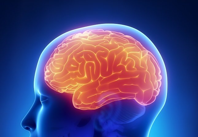 El estómago nos indica las cosas que sentimos