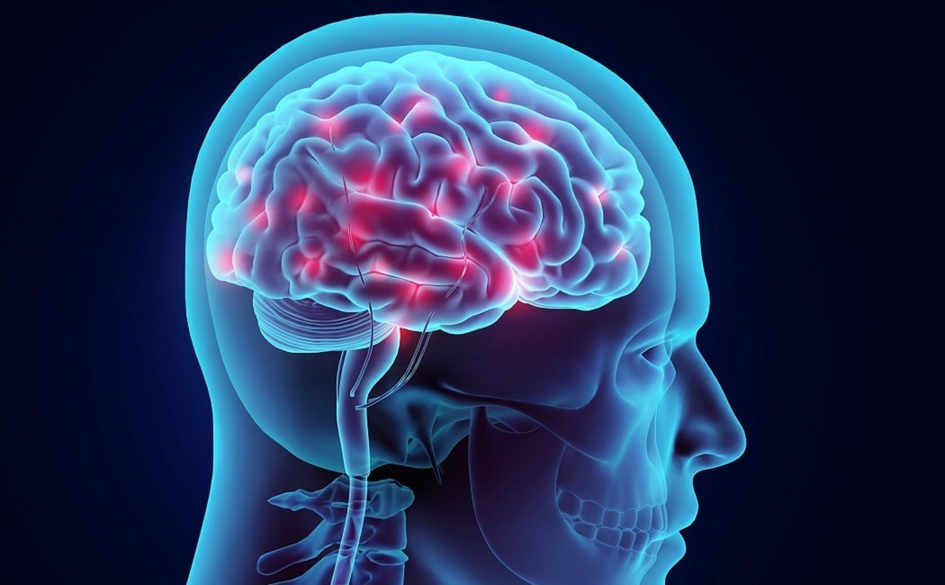 Cómo conseguir tener buenos hábitos gracias a la neurociencia