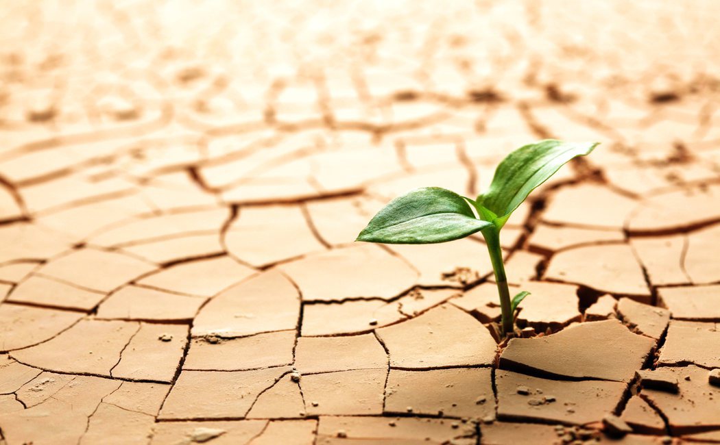 Cómo desarrollar la resiliencia