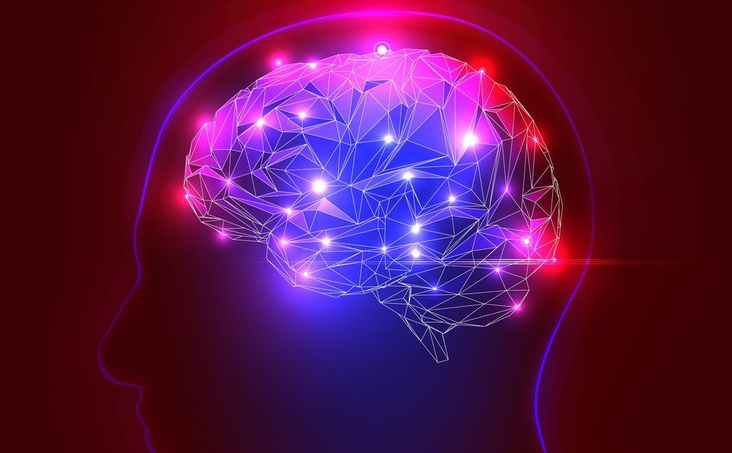 La amígdala, el centro cerebral de las emociones