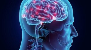 Cómo conseguir tener buenos hábitos gracias a la neurociencia