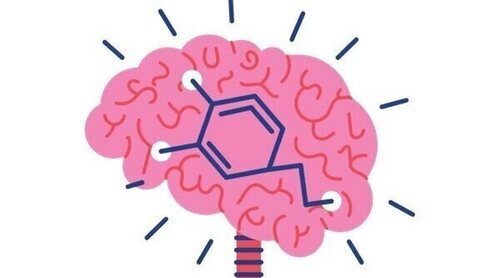 Jonathan Benito, la neurociencia y la salud mental: Cómo cambiar nuestros hábitos puede modelar nuestro cerebro